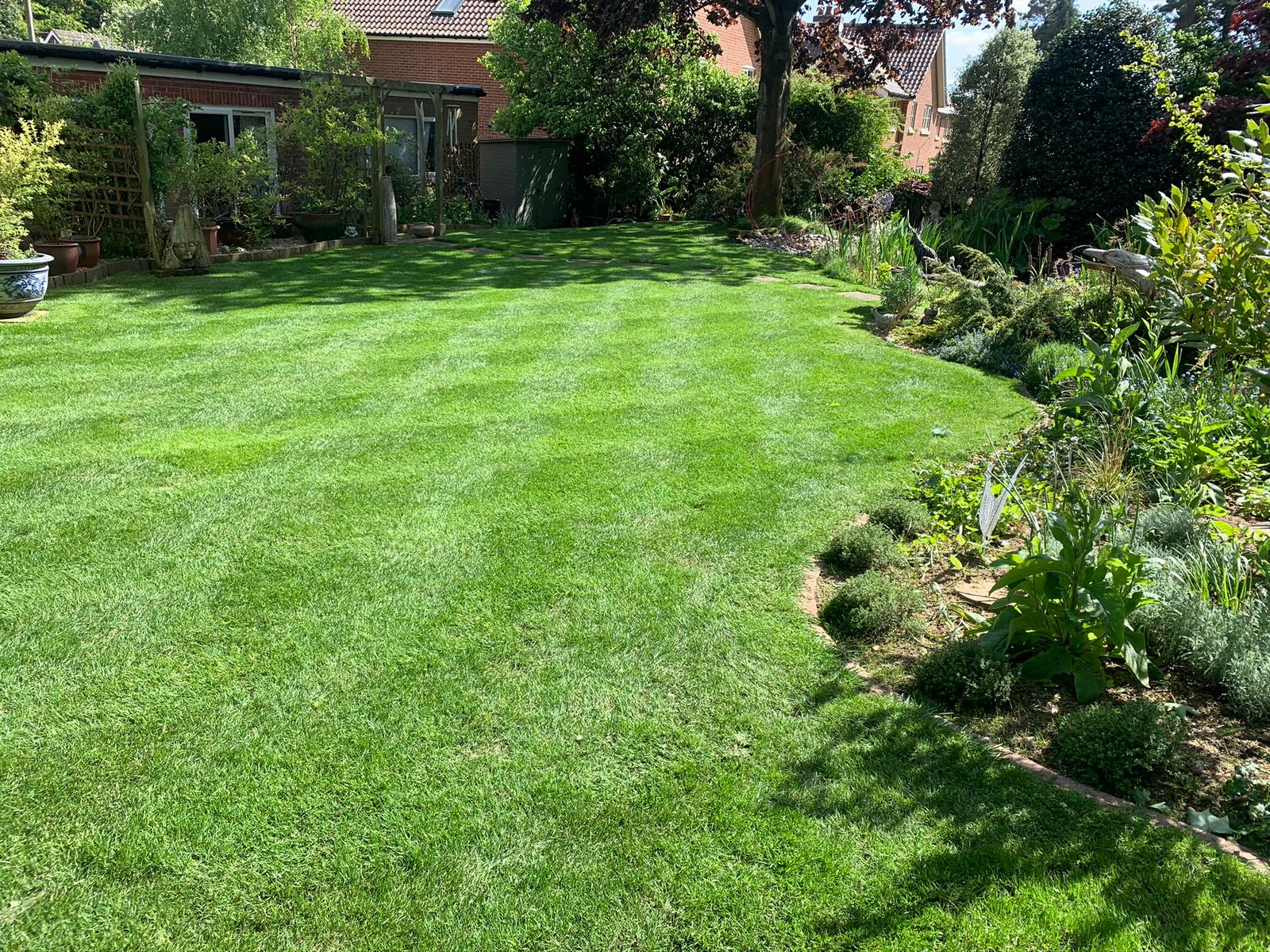 Rapid green in lawns