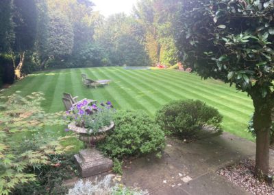 A treated lawn after a cut, with stripes