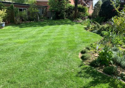 After Lawn Care Maintenance - May