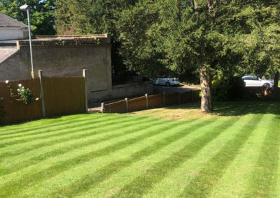 A lawn after our year round treatment service