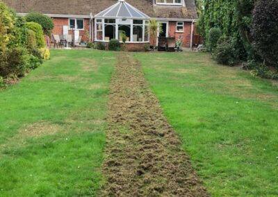 Before Chafer grub treatment on lawn