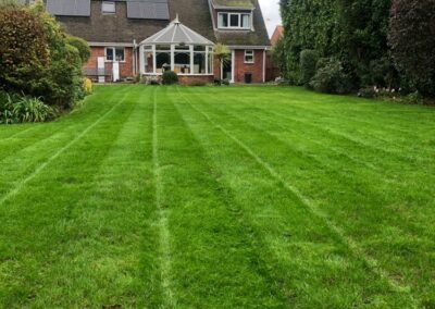 After Chafer grub treatment on lawn