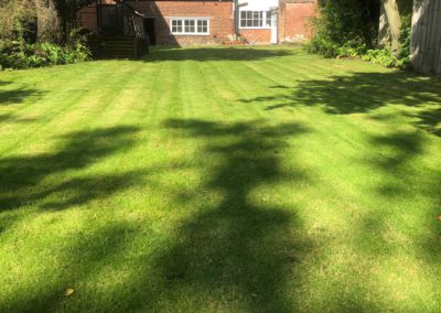 A lawn after moss treatment