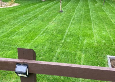 After - Lawn scarifying in April