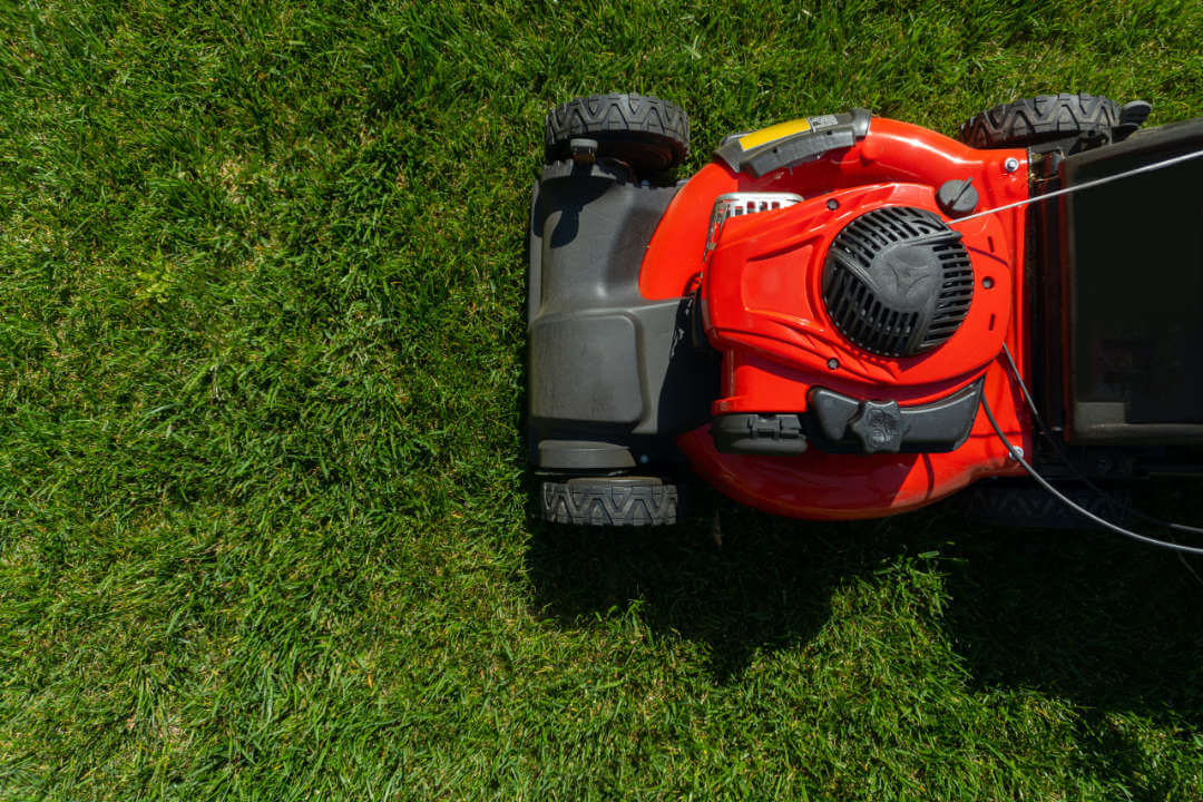 Lawnmower on grass