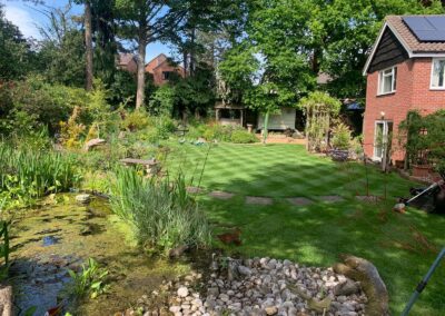 Lawn Renovation With Checkerboard Stripes