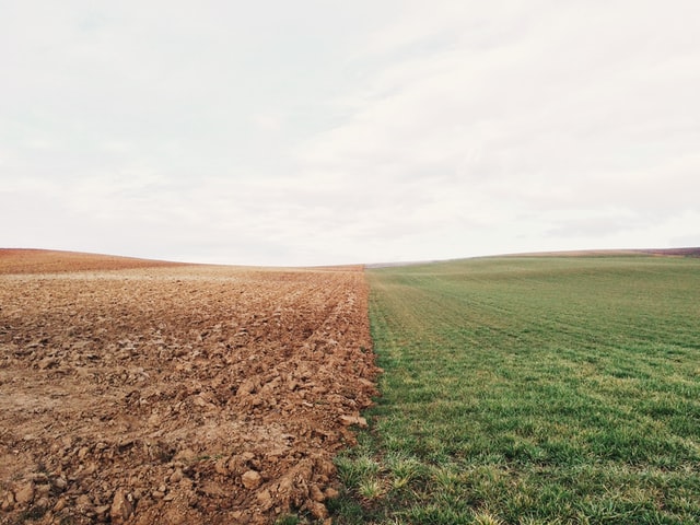 Top dressing and over-seeding