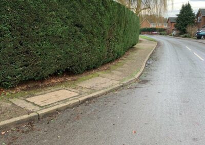 A hedge after the cut