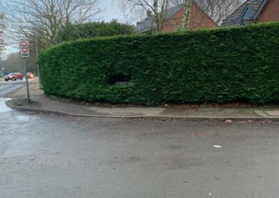 A hedge before a cut