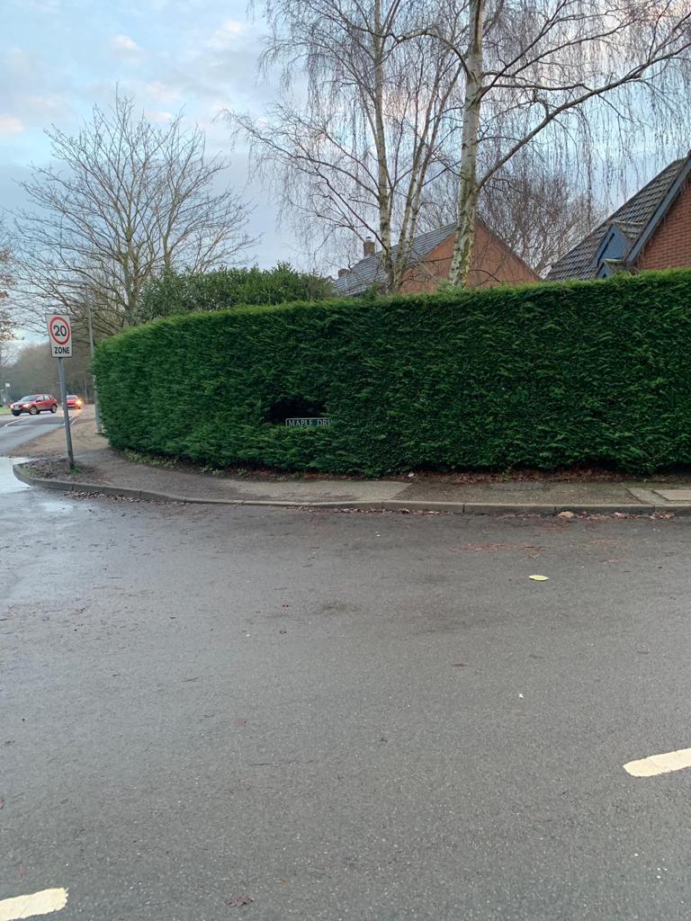 A hedge before a cut