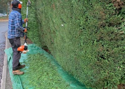 A hedge during the cut