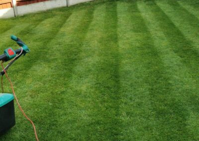 A lawn after some treatment and a first cut