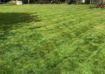 A lawn in spring after a winter treatment plan